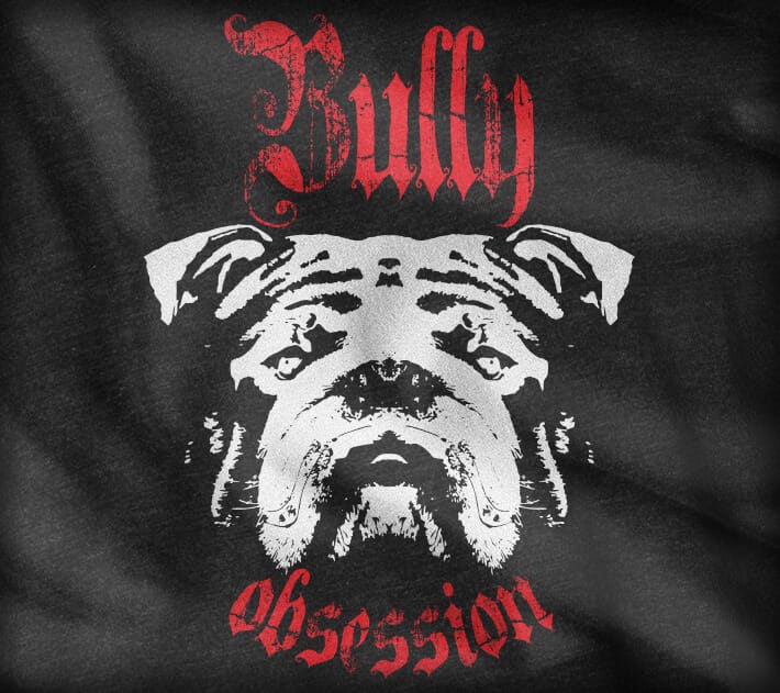 Bully Obsession